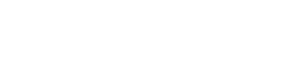 SkiDash